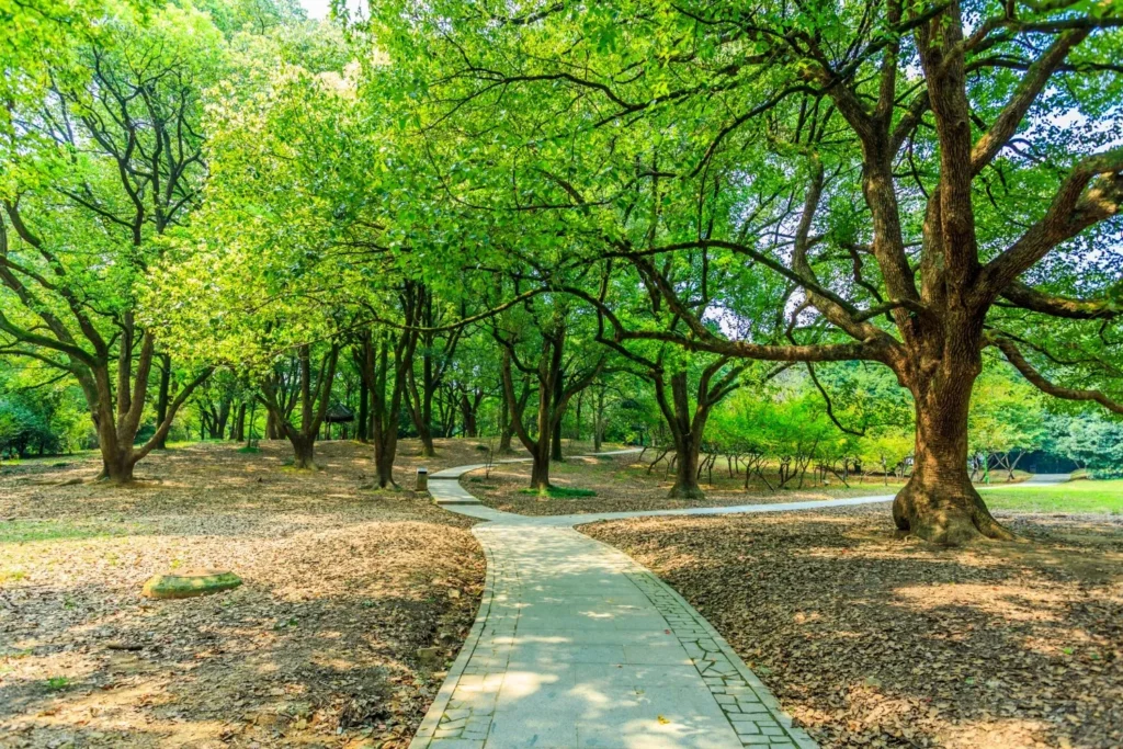 پارک های ورامین